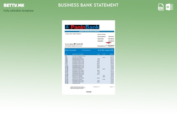 Модерен стил Организацијата на Панин банка која проверува извод од сметката Шабл